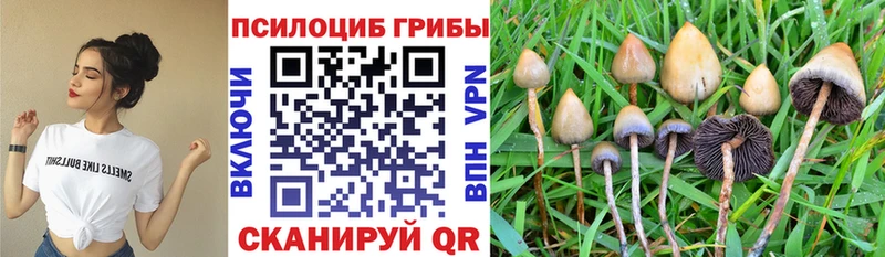 ссылка на мегу ТОР  Серпухов  Галлюциногенные грибы Cubensis 